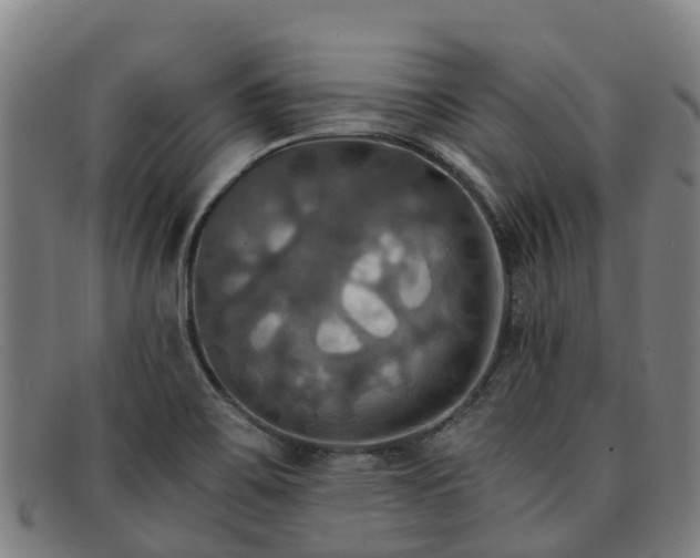 X0000091911467200709121508