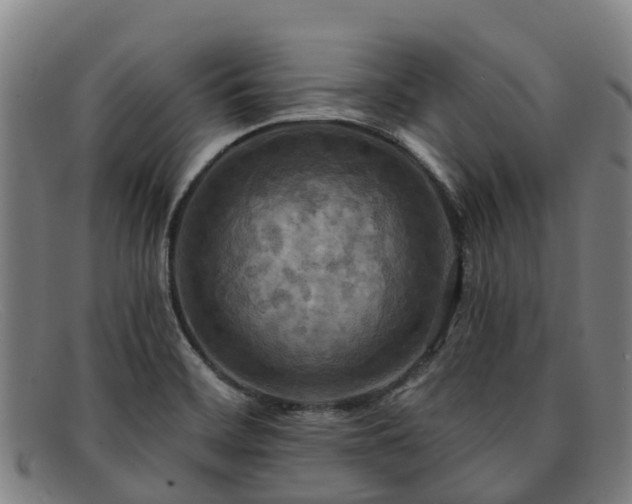 X0000091911468200709121508