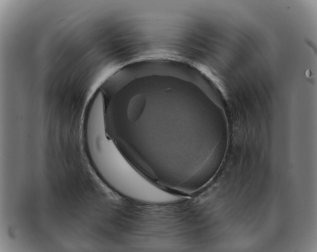 X0000091911469200709121508