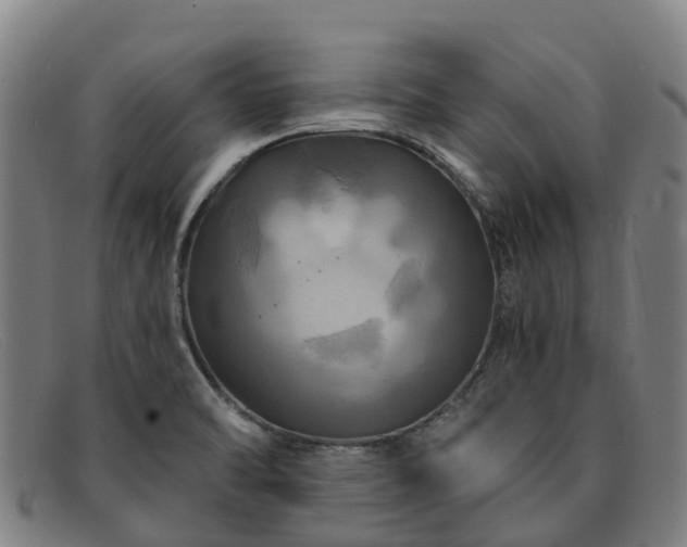 X0000091911470200709121508