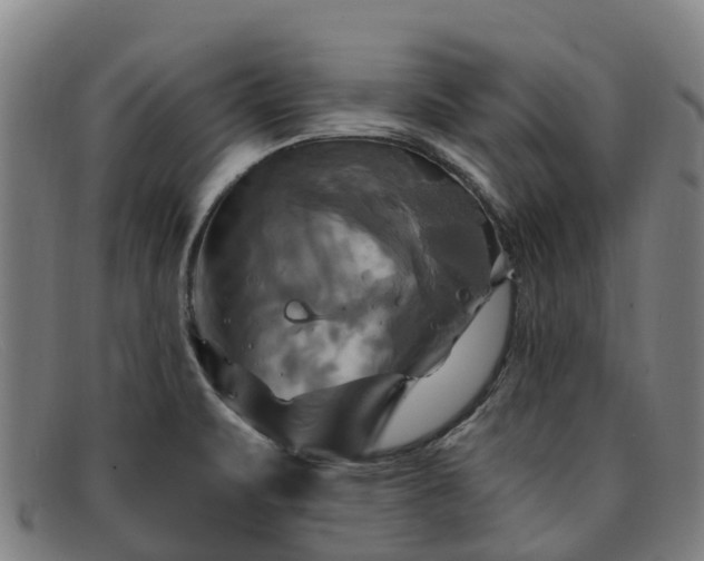 X0000091911471200709121508