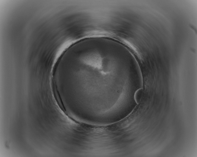 X0000091911472200709121508