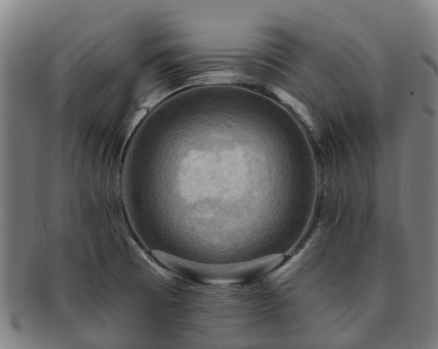 X0000091911473200709121508