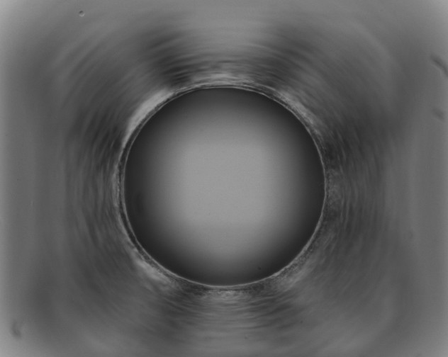 X0000091911474200709121508