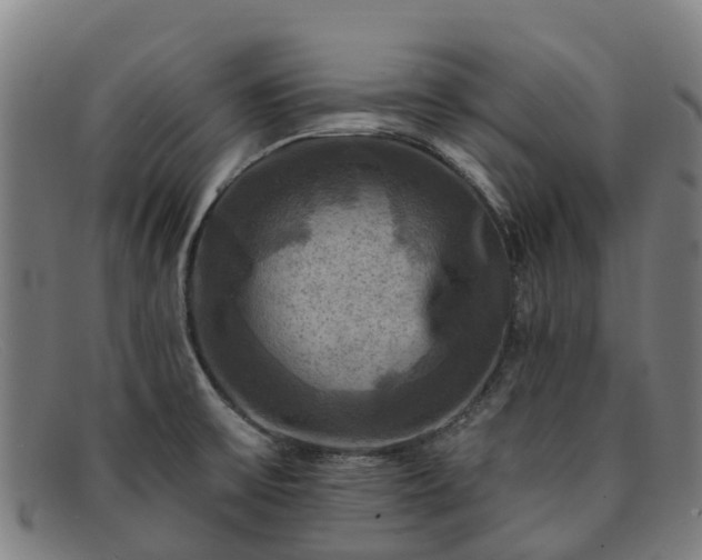 X0000091911475200709121508