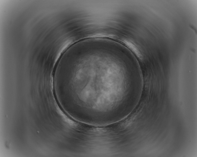 X0000091911476200709121508