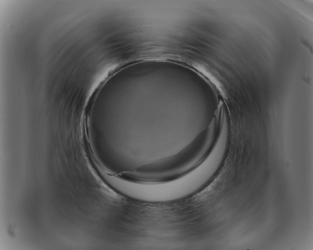 X0000091911477200709121508