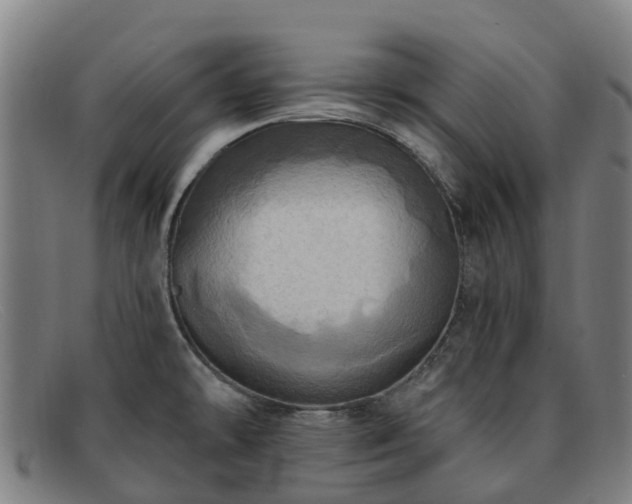 X0000091911478200709121508