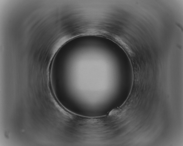 X0000091911479200709121508