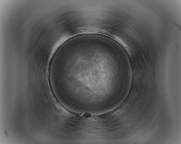 X0000091911480200709121508