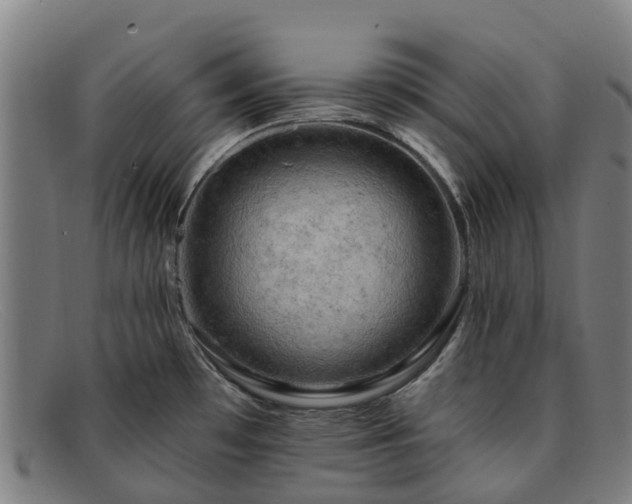 X0000091911481200709121508