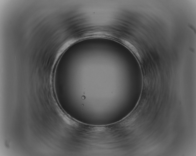 X0000091911482200709121508