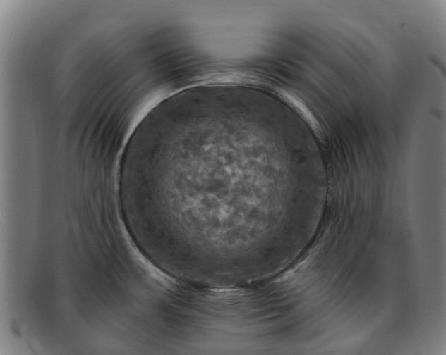 X0000091911483200709121508