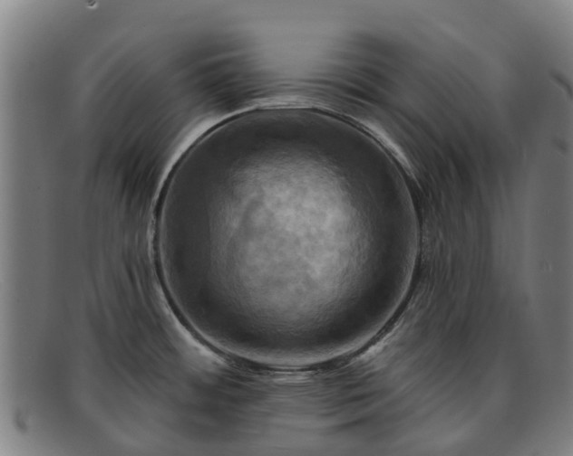 X0000091911484200709121508