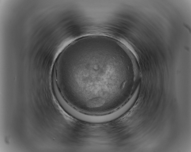 X0000091911485200709121508