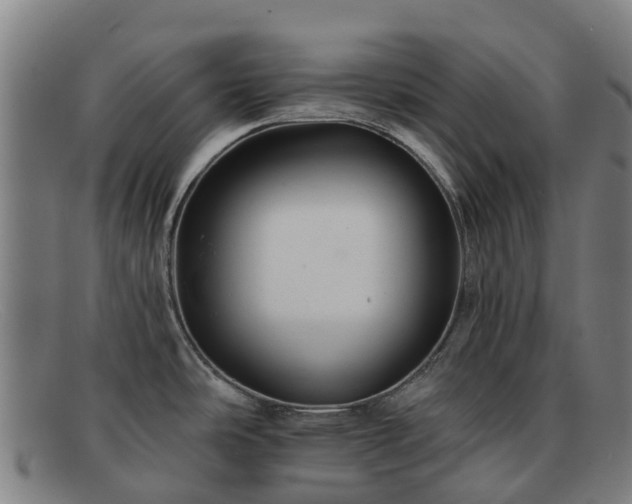 X0000091911486200709121508