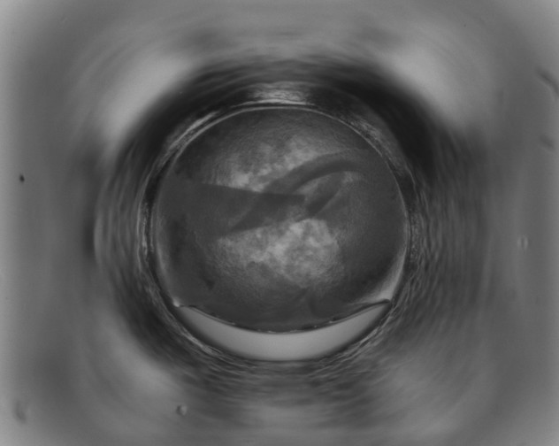 X0000091911487200709121508