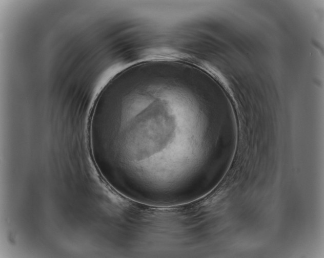 X0000091911488200709121508