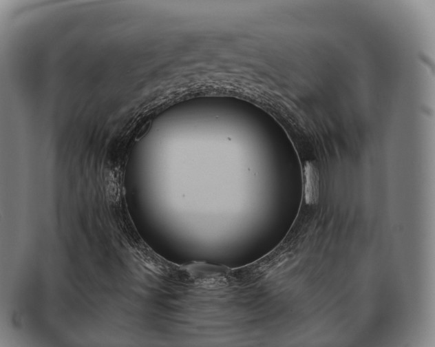 X0000091911491200709121507