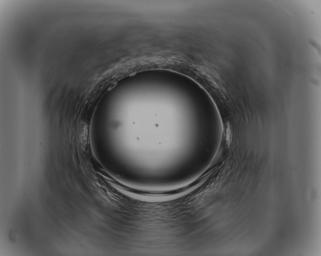 X0000091911492200709121507