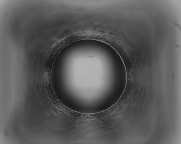X0000091911493200709121507