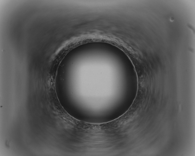 X0000091911495200709121507