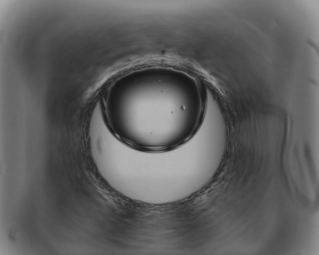 X0000091911496200709121507