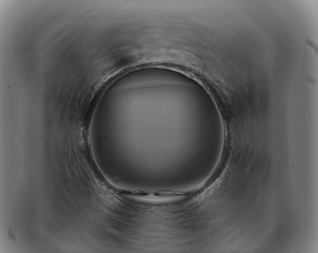 X0000091911497200709121507