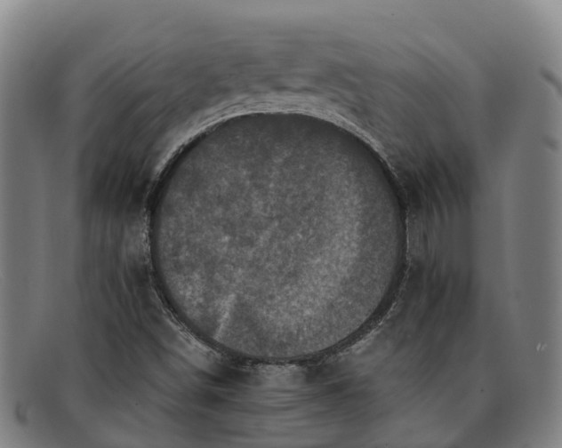X0000091911498200709121507