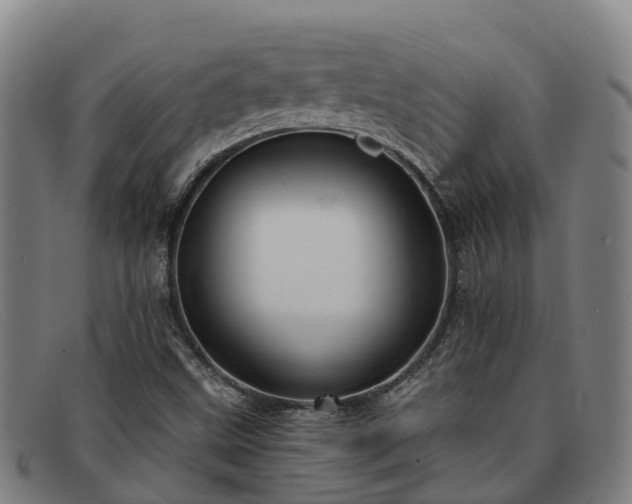 X0000091911499200709121507