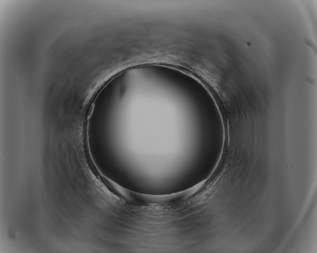 X0000091911500200709121507