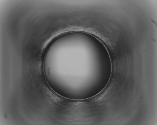 X0000091911502200709121507