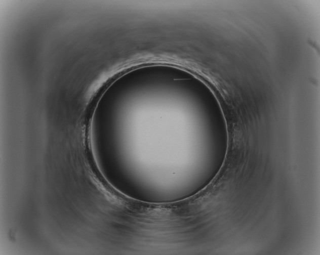 X0000091911503200709121507