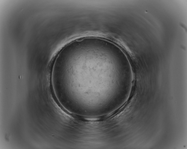 X0000091911504200709121508