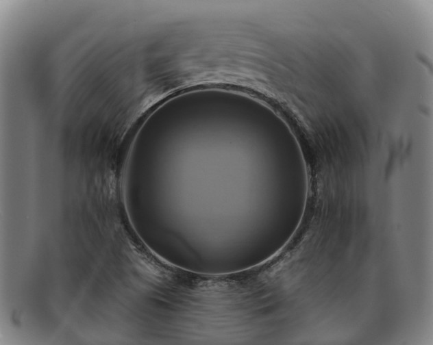 X0000091911505200709121508