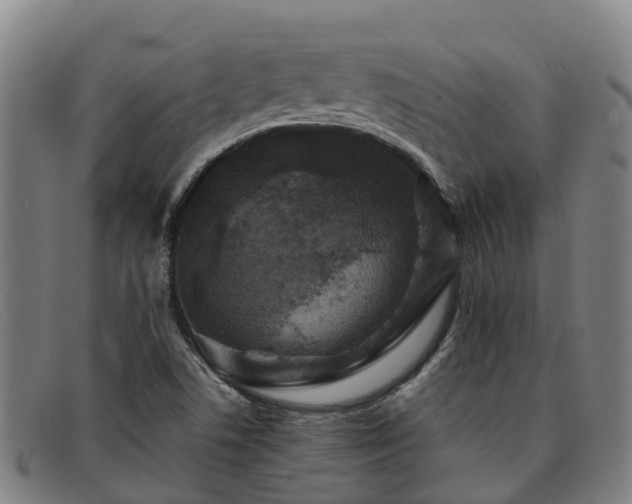 X0000091911506200709121508