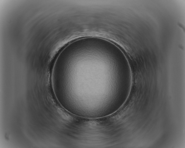 X0000091911507200709121508