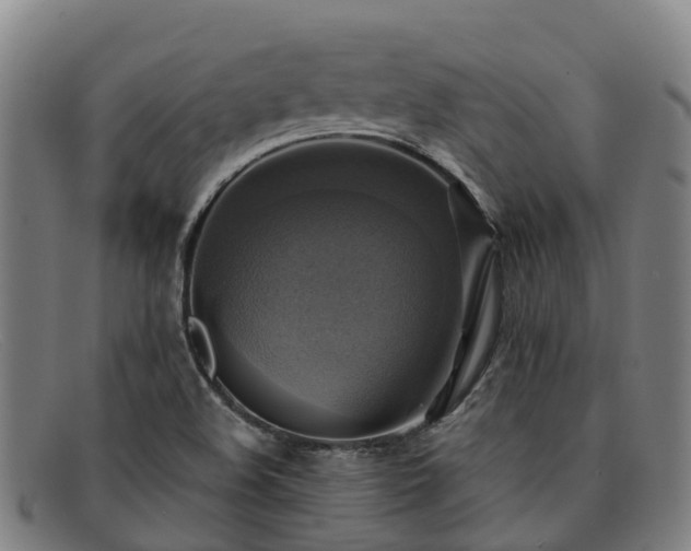 X0000091911508200709121508