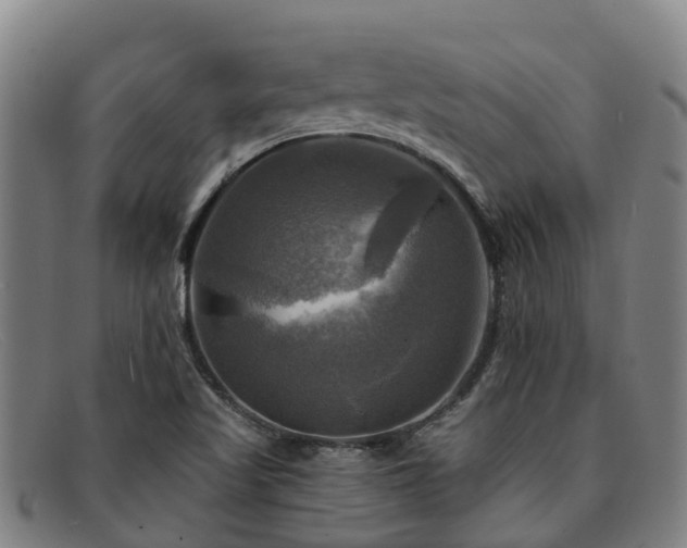 X0000091911509200709121508