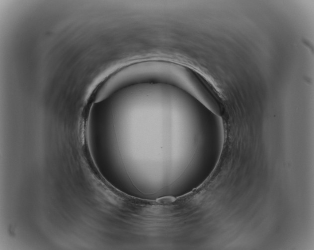 X0000091911510200709121508