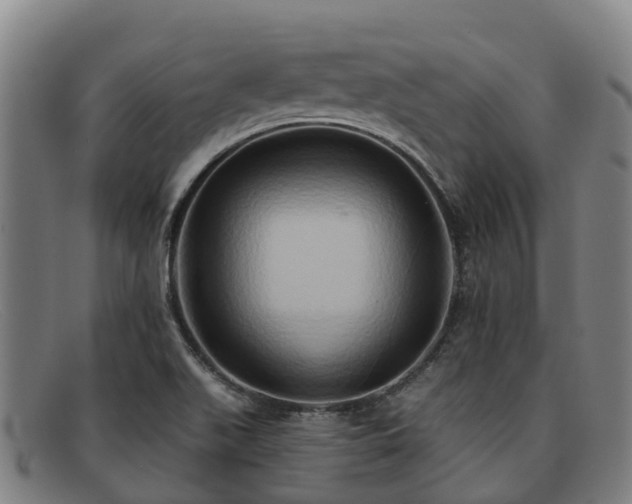 X0000091911511200709121508