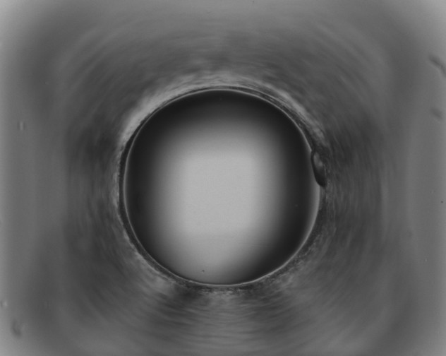 X0000091911512200709121508