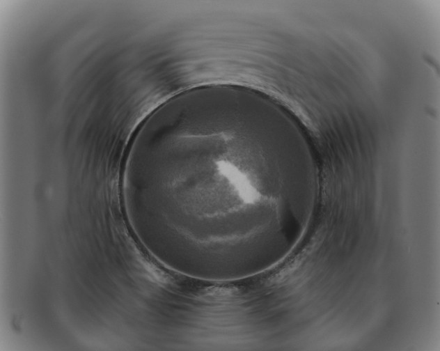 X0000091911513200709121508