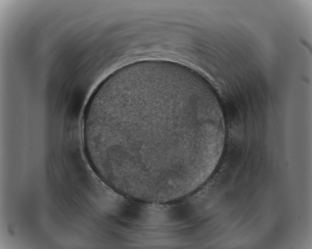 X0000091911514200709121508