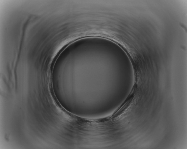 X0000091911515200709121508