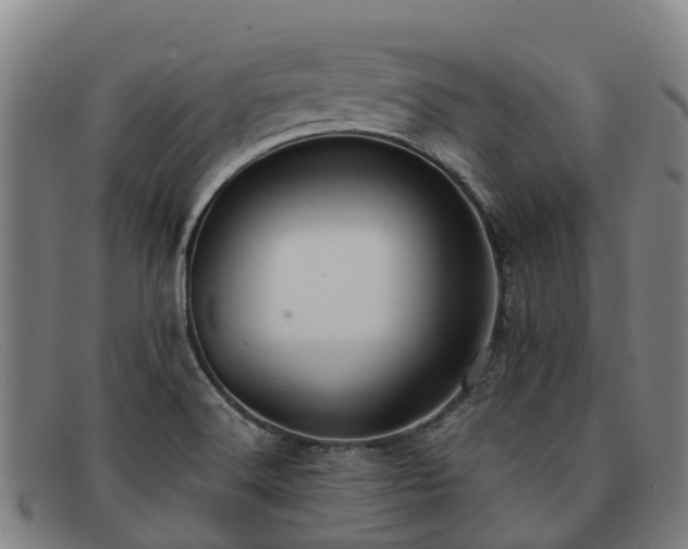 X0000091911516200709121508