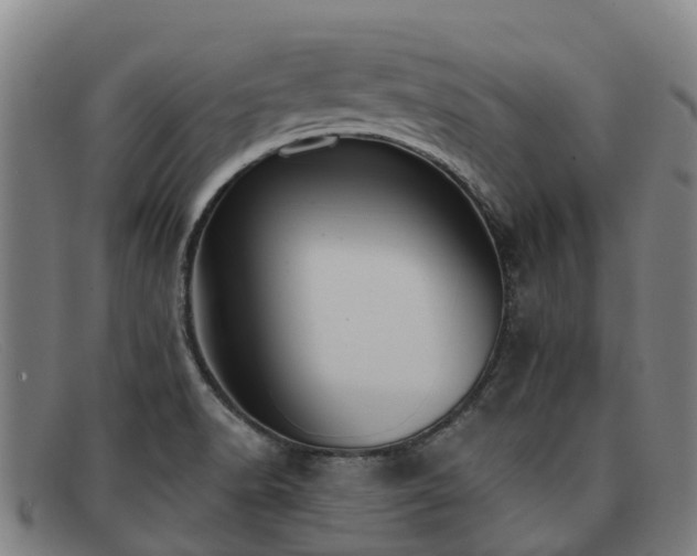 X0000091911518200709121508