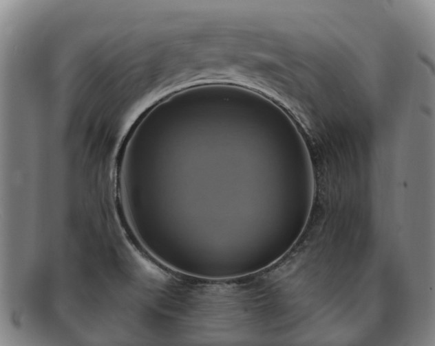 X0000091911519200709121508