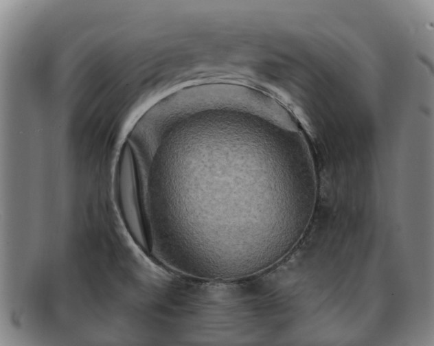 X0000091911520200709121508