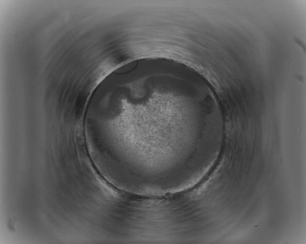 X0000091911521200709121508